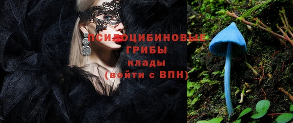 ГАЛЛЮЦИНОГЕННЫЕ ГРИБЫ Алексеевка
